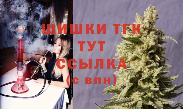 гашик Зеленокумск