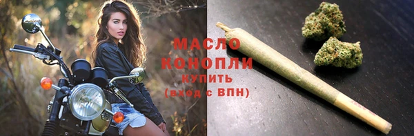 гашик Зеленокумск