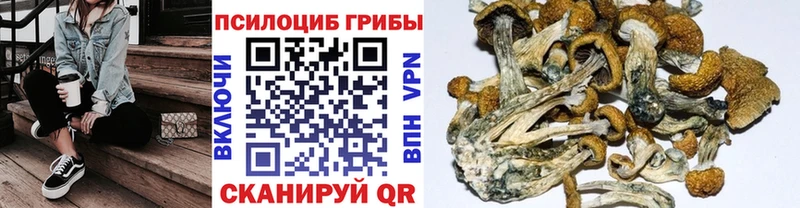 Псилоцибиновые грибы Magic Shrooms  Купить где  Холм 